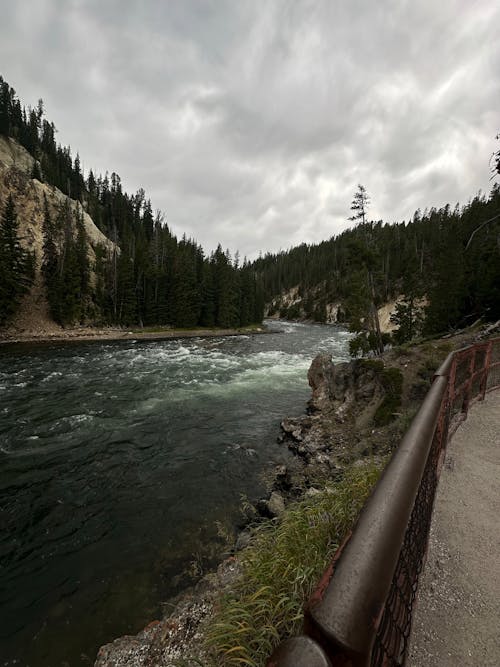 View of the River from Brink of Lower Falls Vista Point in Yellowstone National Park