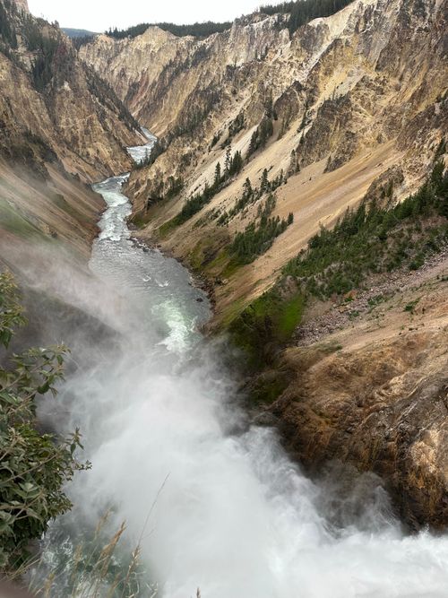Free Majestic view of Yellowstone's Lower Falls cascading through a deep canyon. Stock Photo