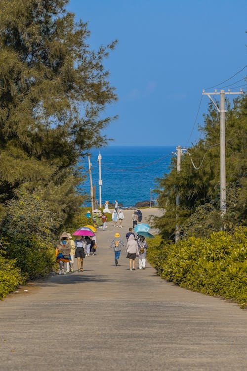 Tourists in Hoods and with Umbrellas Going to the Beach