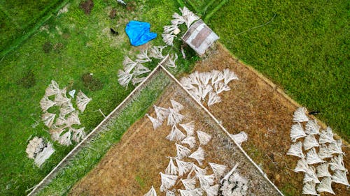 Free Top View of a Farm  Stock Photo
