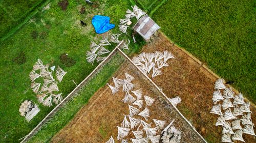 Free Aerial view of farmland showcasing dried crops and green fields in patterns. Stock Photo