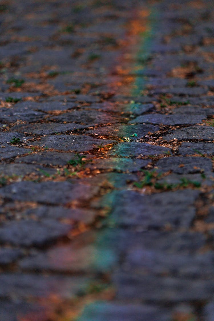 Rainbow Painted On Pavement