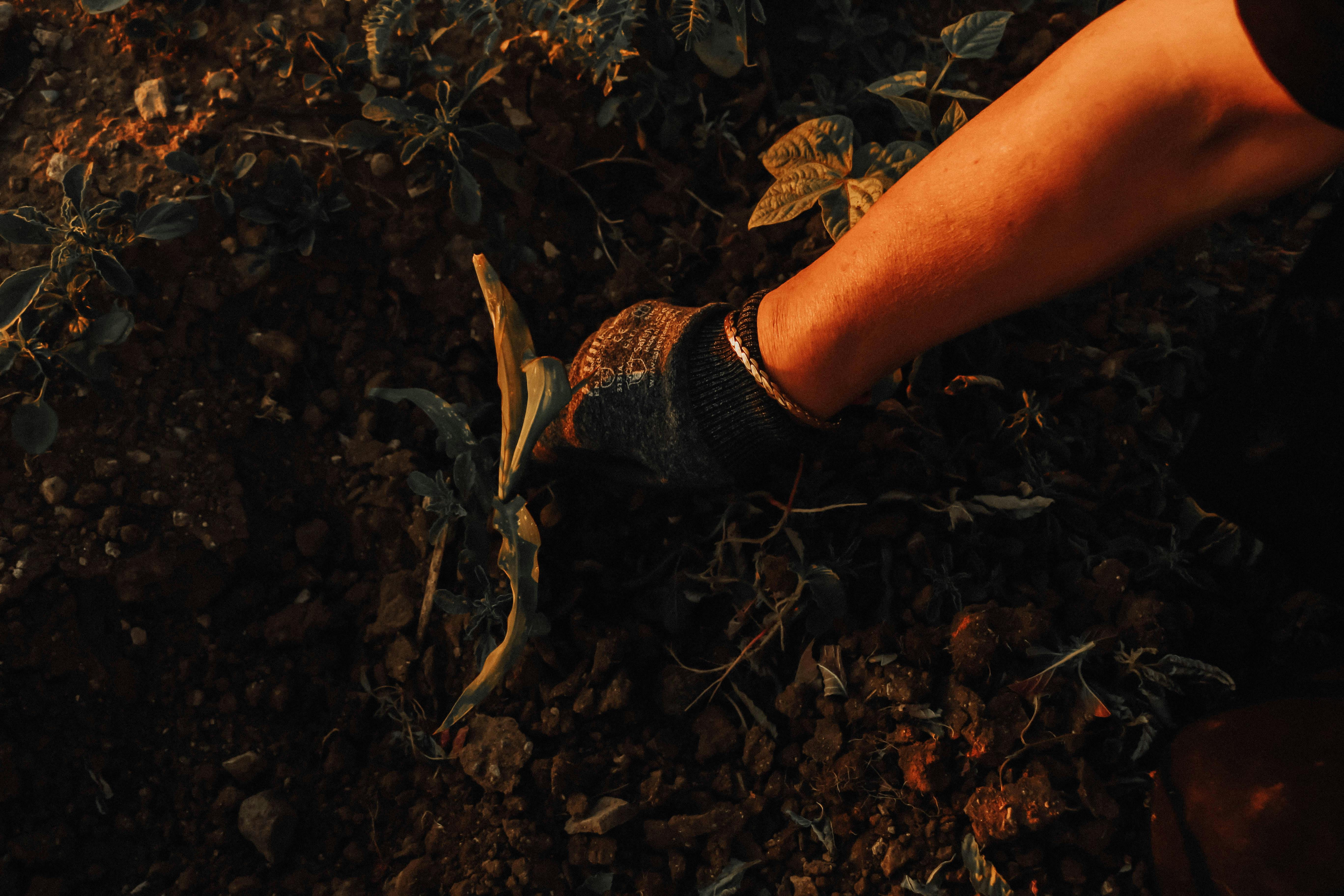 Previously Unreleased Photos, Download The BEST Free Previously