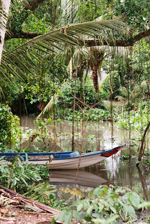 Wooden Canoe on a Tropical River