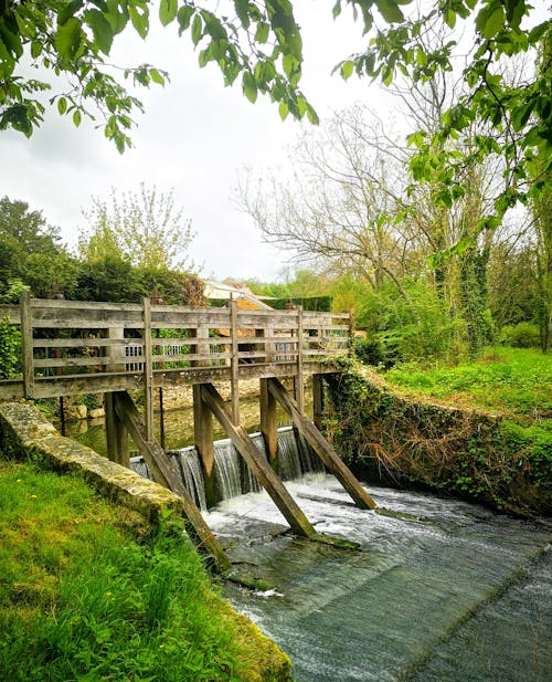 Foto profissional grátis de árvores, barragem, cascata