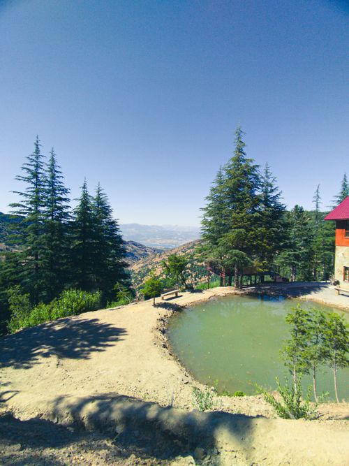 Free Mountain Top Stock Photo