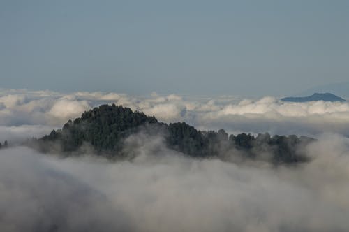 Gratuit Imagine de stoc gratuită din arbori, ceață, cer cu nori Fotografie de stoc
