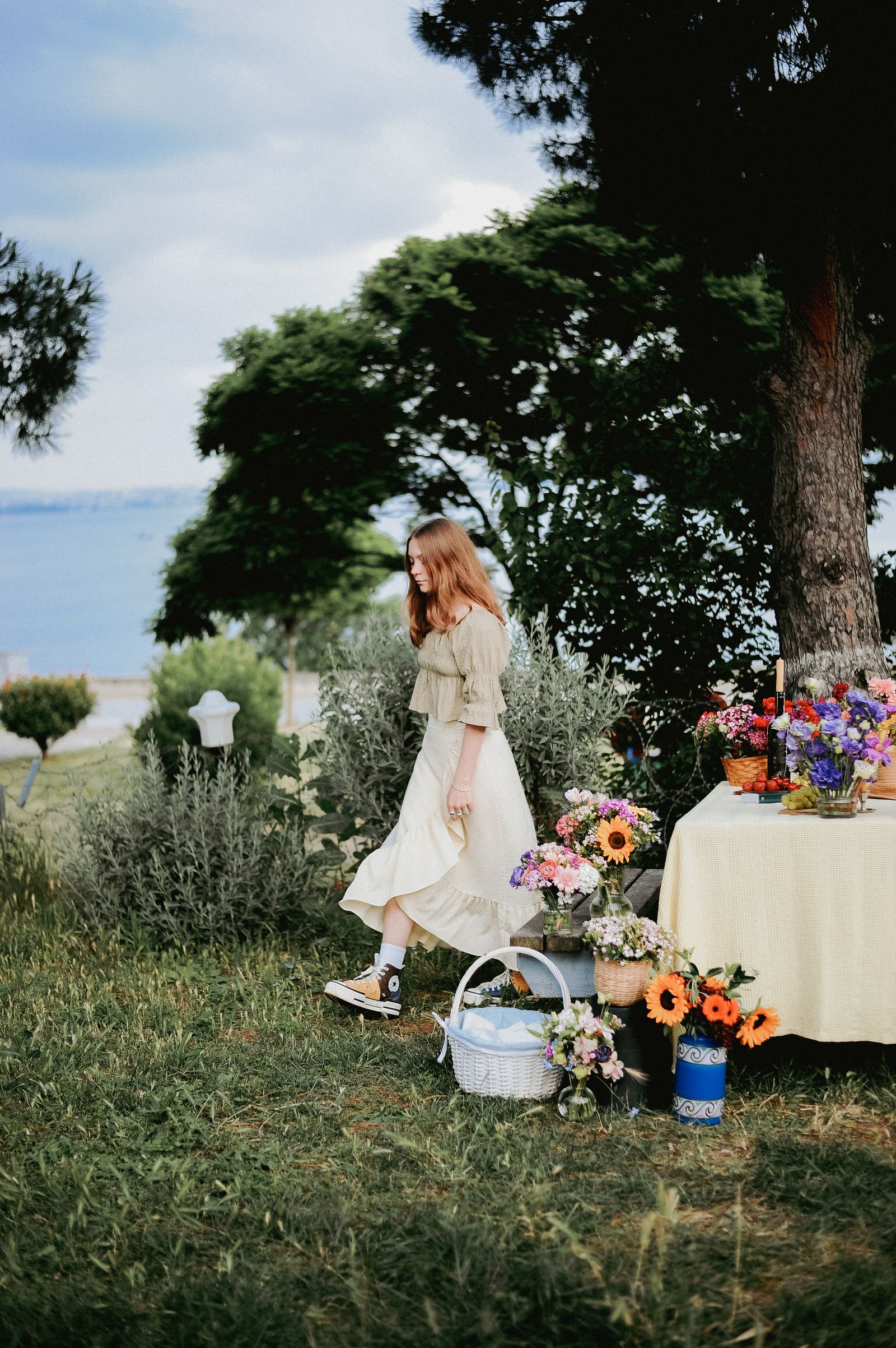 Picnic Table Photos, Download The BEST