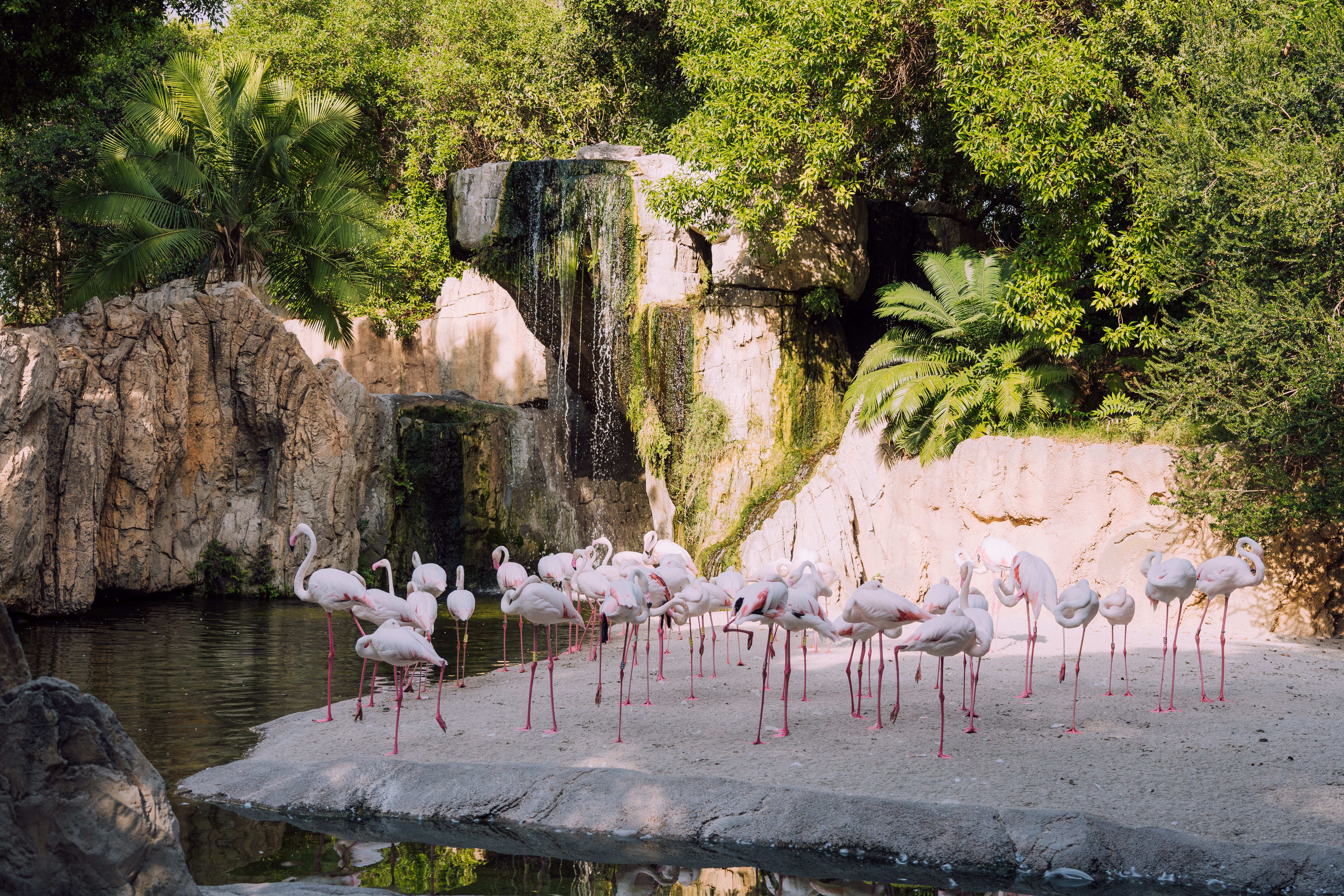 Marineland Antibes : fermeture du parc, sort des animaux et avenir d’un site emblématique