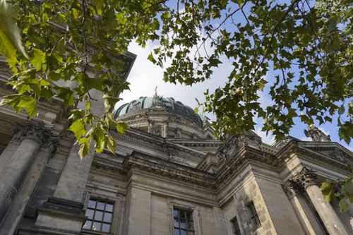 Free Low angle view of a cathedral in Berlin framed by green leaves, capturing architectural beauty and urban nature. Stock Photo