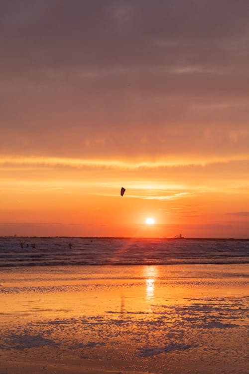 Foto profissional grátis de beira-mar, cair da noite, costa