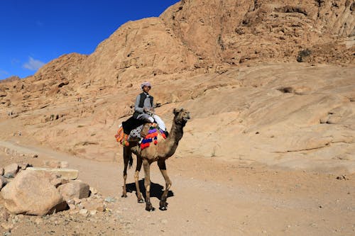 Man Riding Camel on Desert