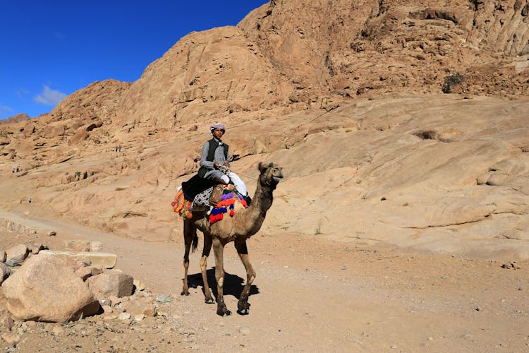 Man Riding Camel On Desert