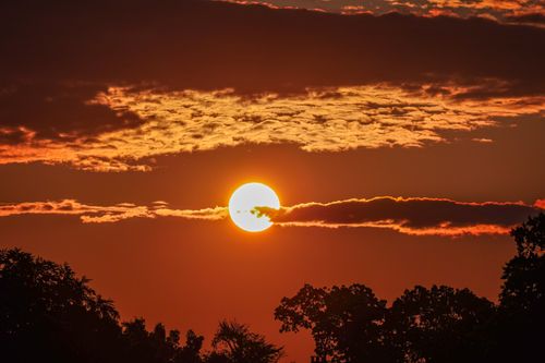 Free Capture of a vibrant sunset with dramatic clouds and silhouetted trees. Stock Photo
