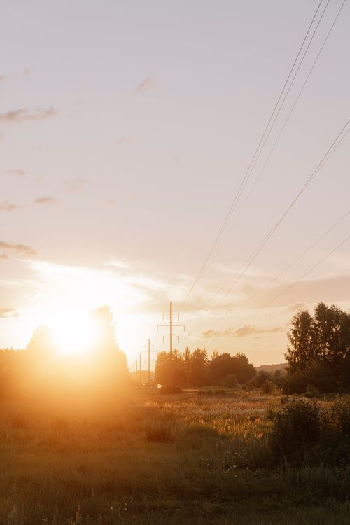 Free Peaceful rural scene with power lines and trees at sunset, capturing nature's tranquility. Stock Photo