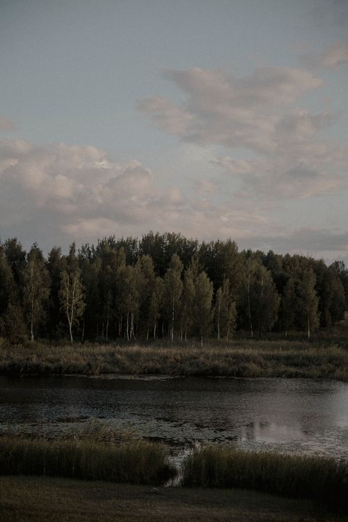 Free Peaceful river landscape surrounded by a lush, dense forest under a cloudy sky. Stock Photo