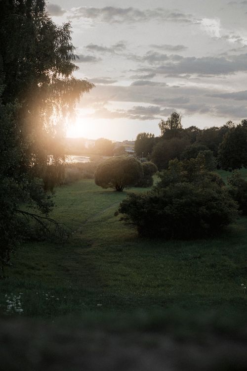 Free A beautiful sunrise illuminating a tranquil meadow and lake, surrounded by lush trees. Stock Photo