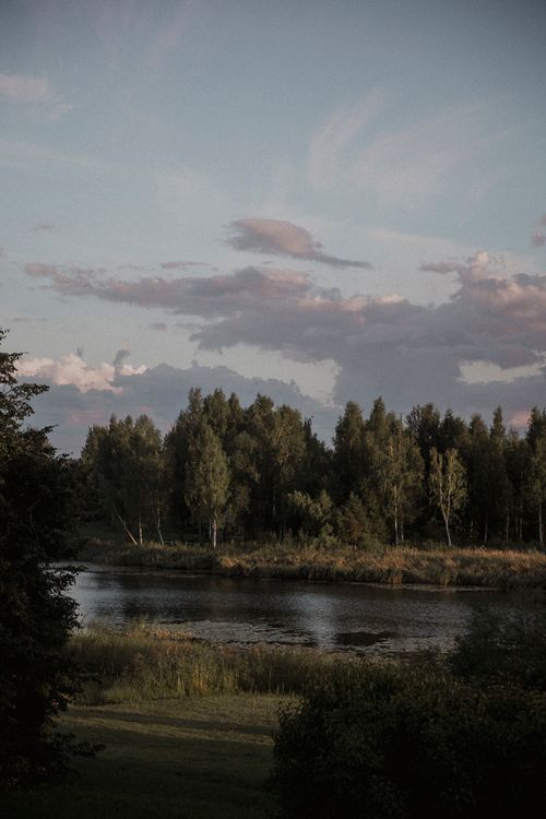 Free Serene view of birch trees by a river under a cloudy sky. Stock Photo