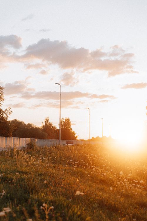 Free A serene summer meadow with streetlights under a vibrant sunset sky with lush grass. Stock Photo
