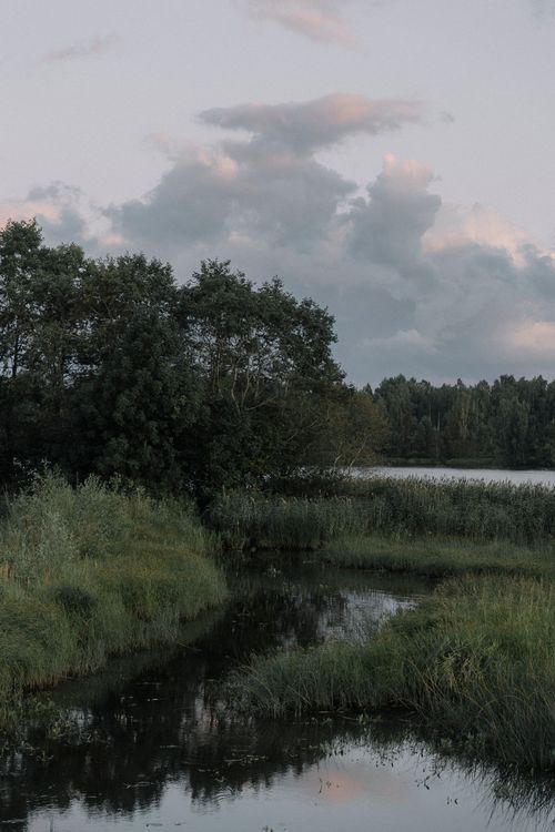 Free Peaceful riverside landscape at dusk with lush trees and calm waters, capturing tranquility. Stock Photo