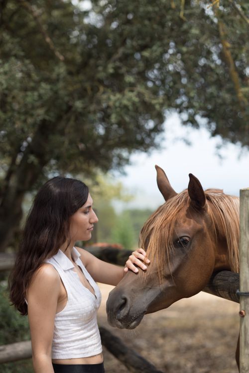 Free A woman interacts with a horse at a rustic farm, surrounded by trees. Stock Photo