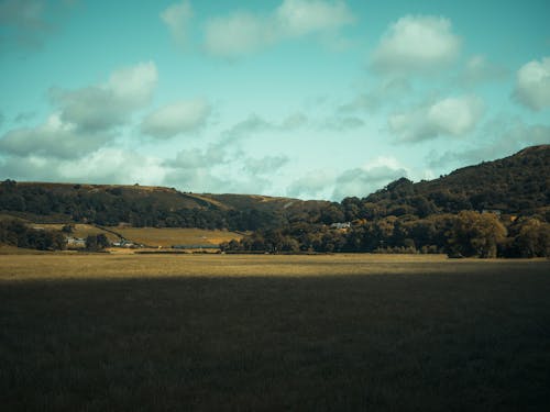 Landscape of a Meadow, Forest and Hills 