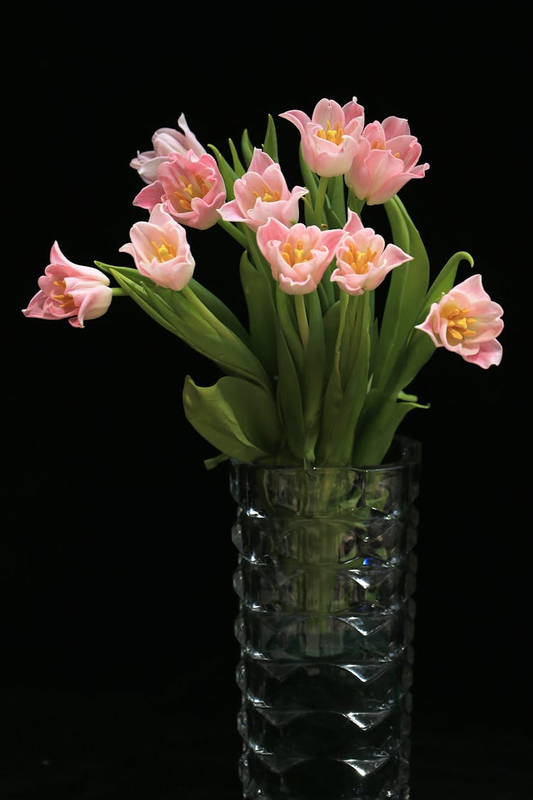 Pink Flowers In Vase