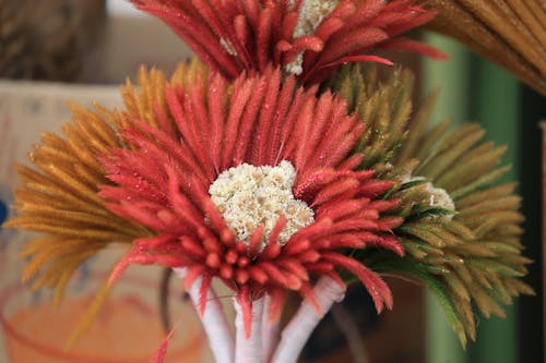 Close-up of Flower Bouquets 