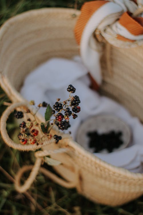 Berries on Picnic Basket