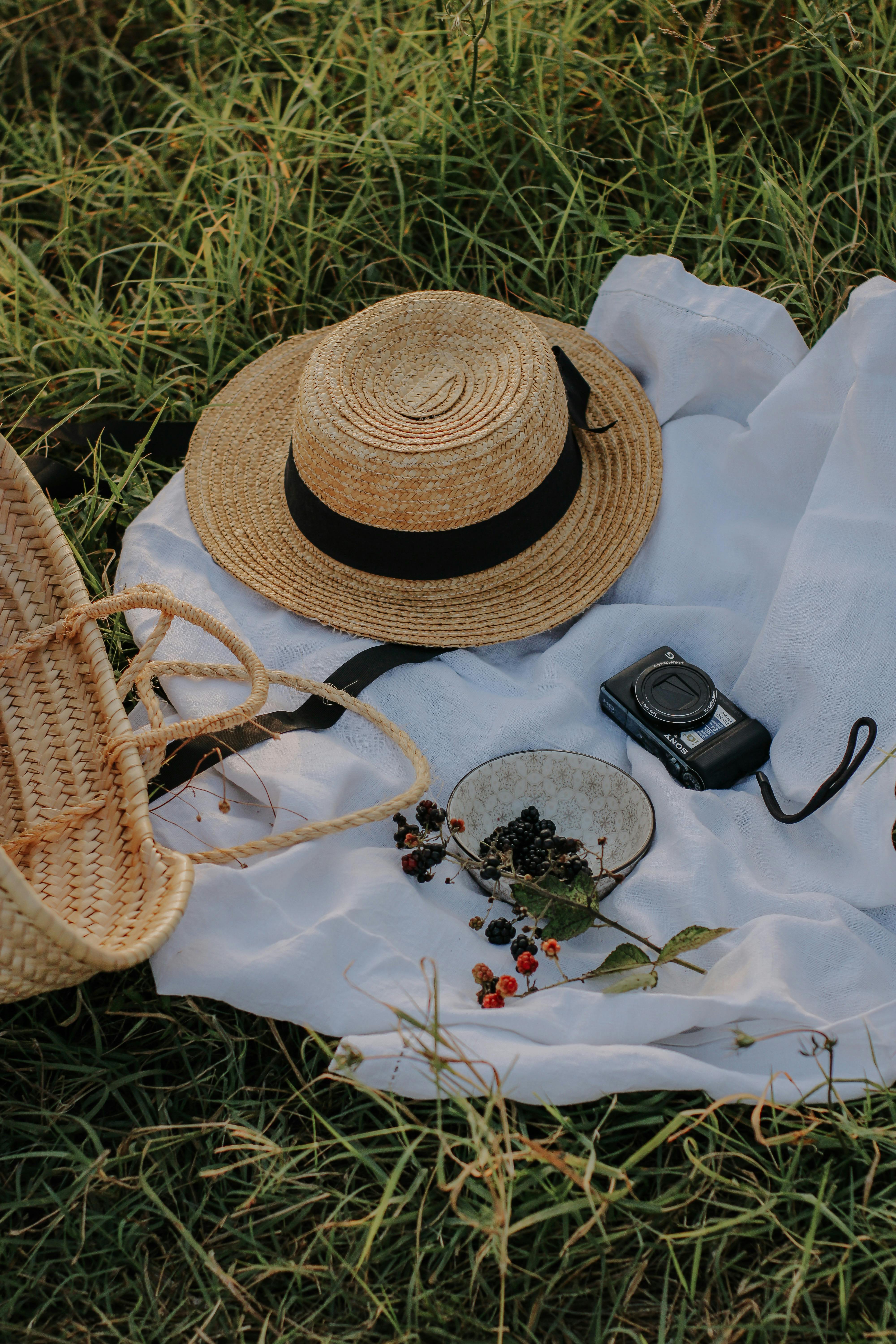 sun hat a camera and a bowl of blackberries lying on a white picnic blanket