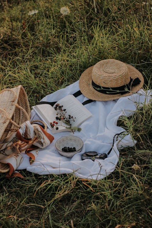 Free Sun Hat, a Camera, a Book and a Bowl of Blackberries Lying on a White Picnic Blanket Stock Photo