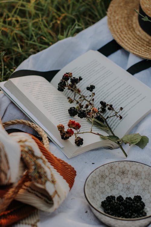 Free Blackberry Twig on a Book Lying on a Picnic Blanket Stock Photo