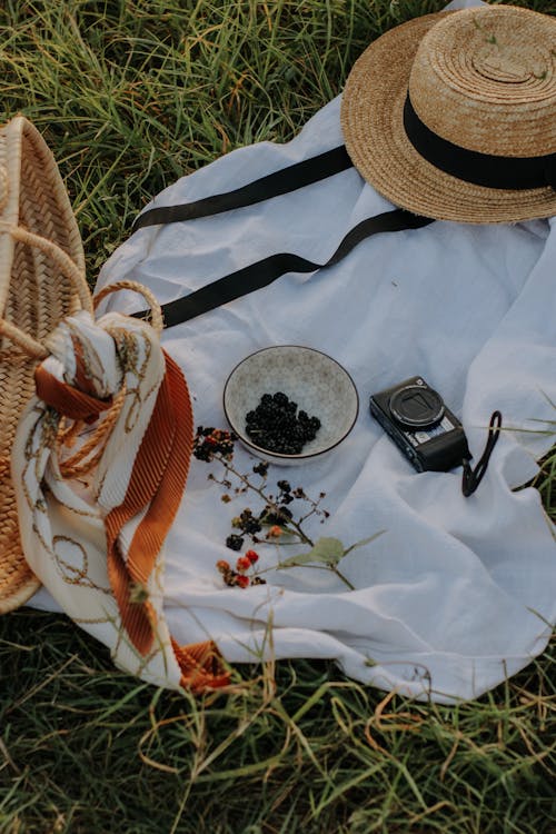 A Camera and Fruit Lying on a Blanket on the Grass