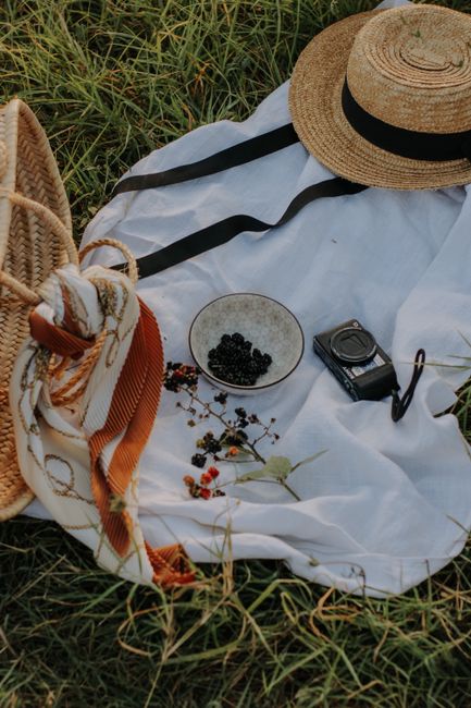 Relaxing picnic scene with straw hat, camera, and berries on blanket outdoors.