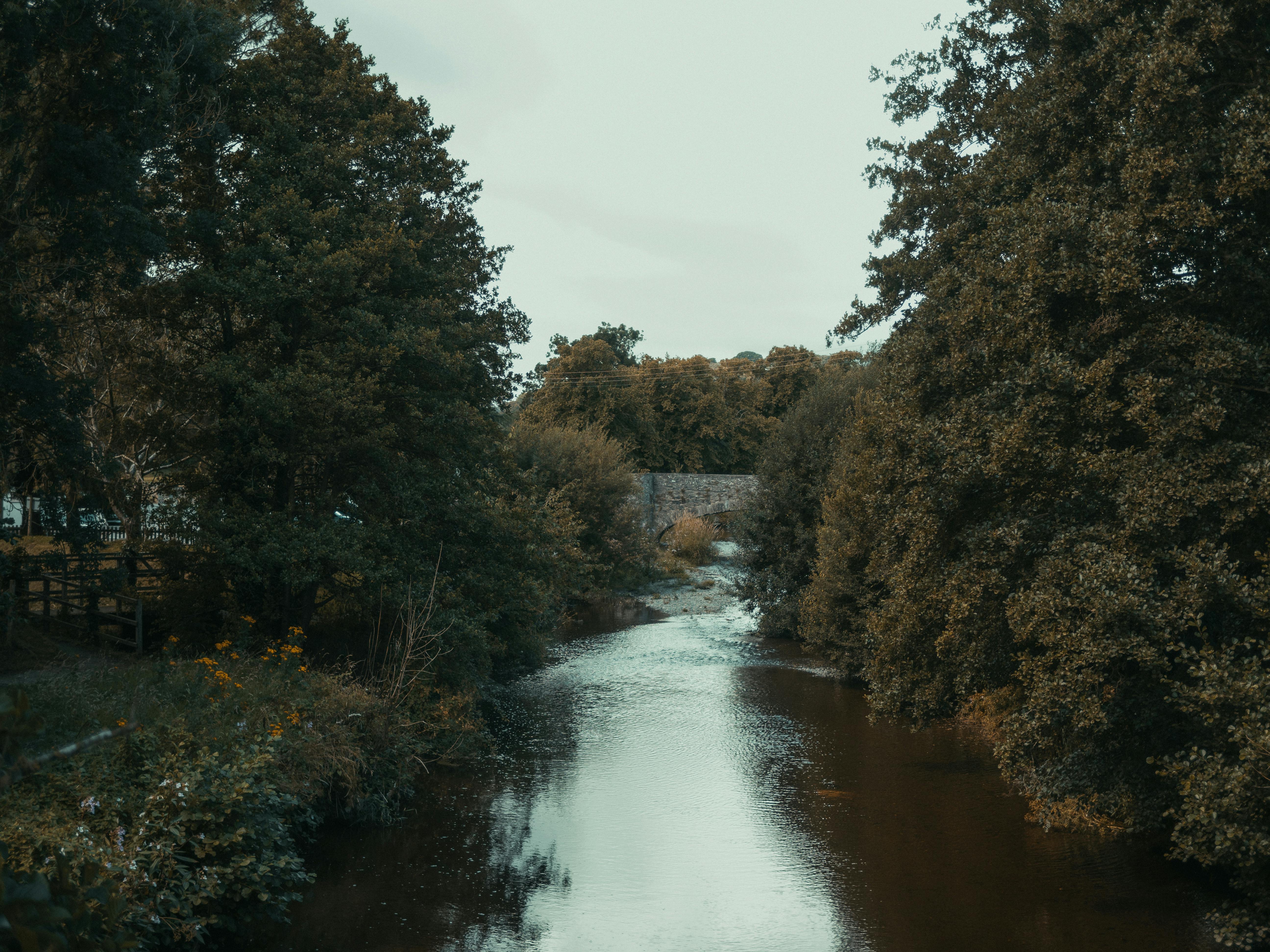 Serene river flowing through lush forest in Llanfair Talhaiarn, Wales. A perfect nature escape.