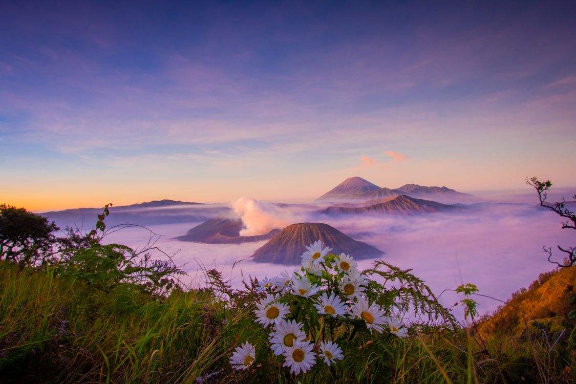 Mount Bromo Peak above Clouds at Sunset in Java, Indonesia · Free Stock ...
