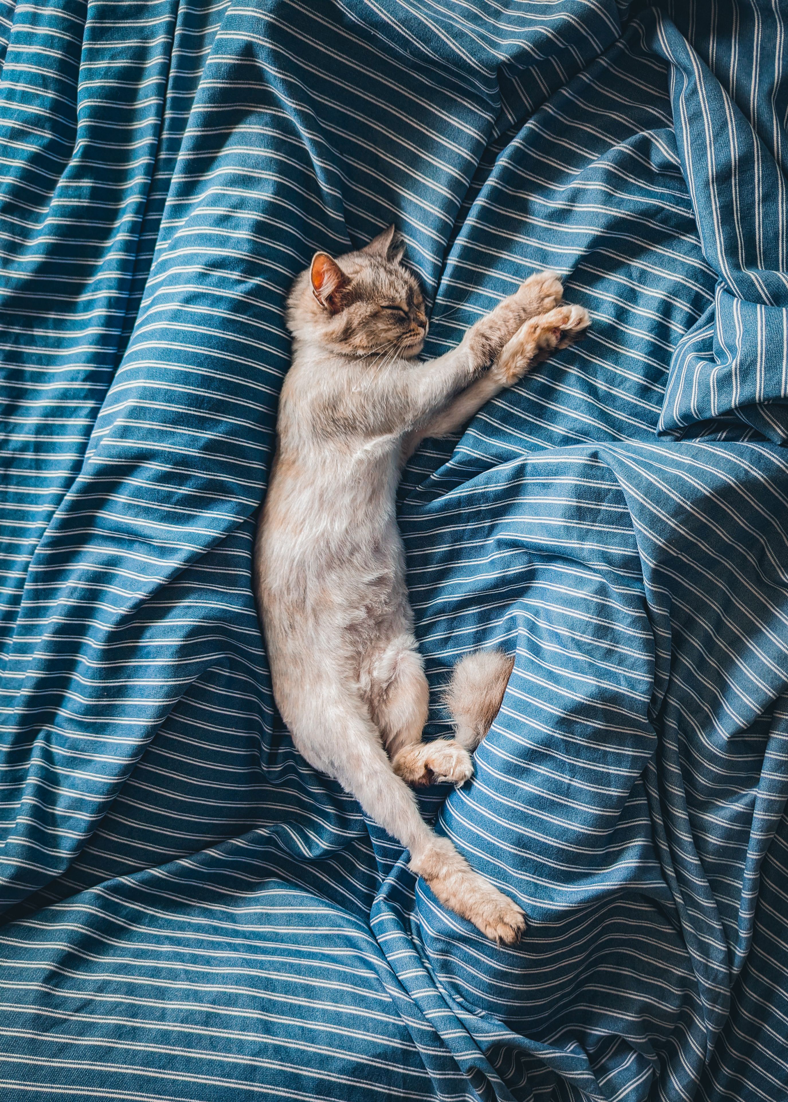 A relaxed checklist for sheet choices