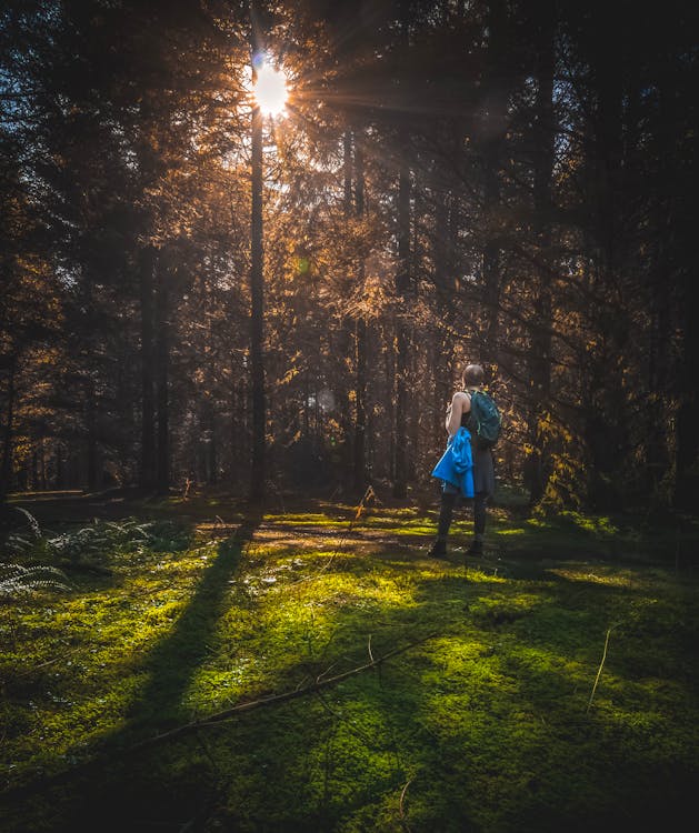 Fotobanka s bezplatnými fotkami na tému batoh, chôdza, človek