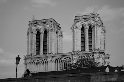 Gratis lagerfoto af Frankrig, gråtoneskala, katedral