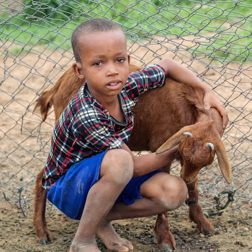 Young Boy Hugging Baby Goat