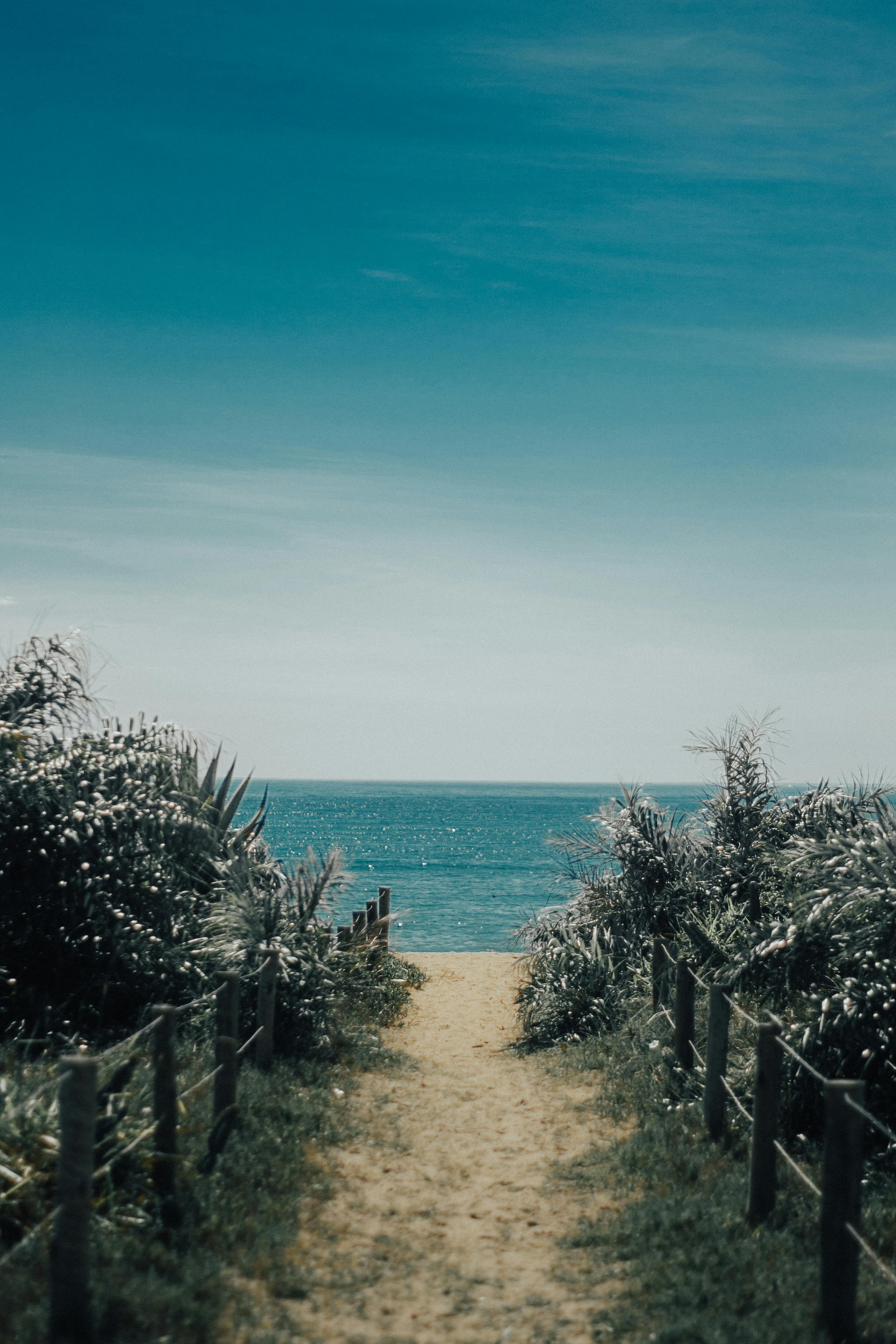 宁静的沙道和木栅栏通向蓝天映衬下的清澈海景