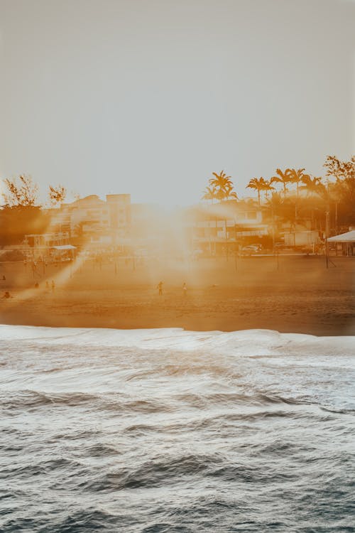 Free stock photo of beach, sun