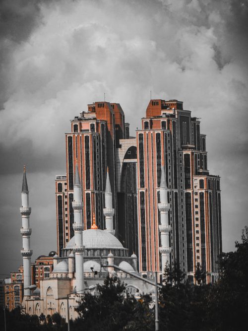 Free Cami  Stock Photo