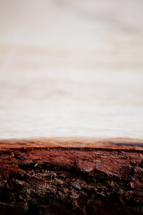 Close up of a Chocolate Cake