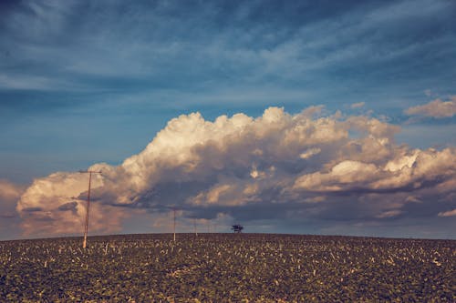 Free Brown Utility Post Under White Clouds Stock Photo
