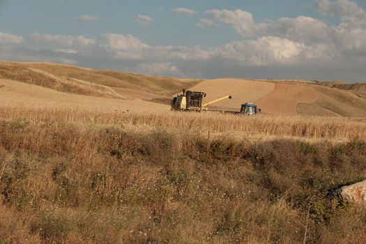 Scenic view of a combine harvester working in a vast rural wheat field.