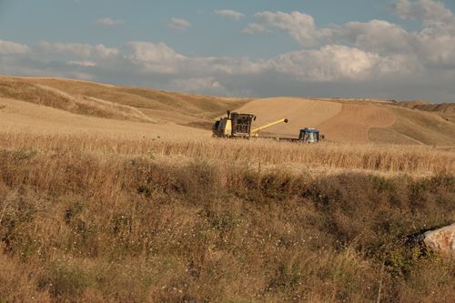 Free Scenic view of a combine harvester working in a vast rural wheat field. Stock Photo
