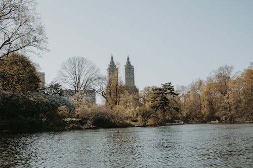 ağaçlar, Birleşik Devletler, central park içeren Ücretsiz stok fotoğraf