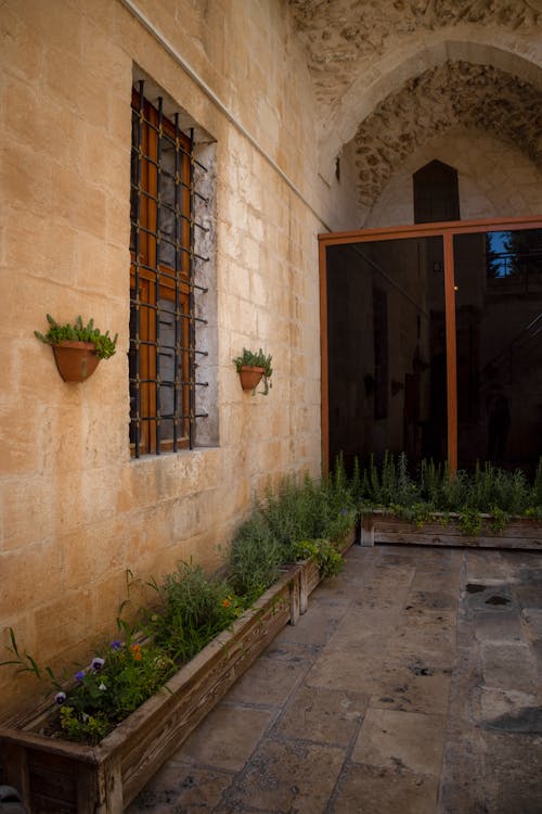 Plants on the Outside of the Building