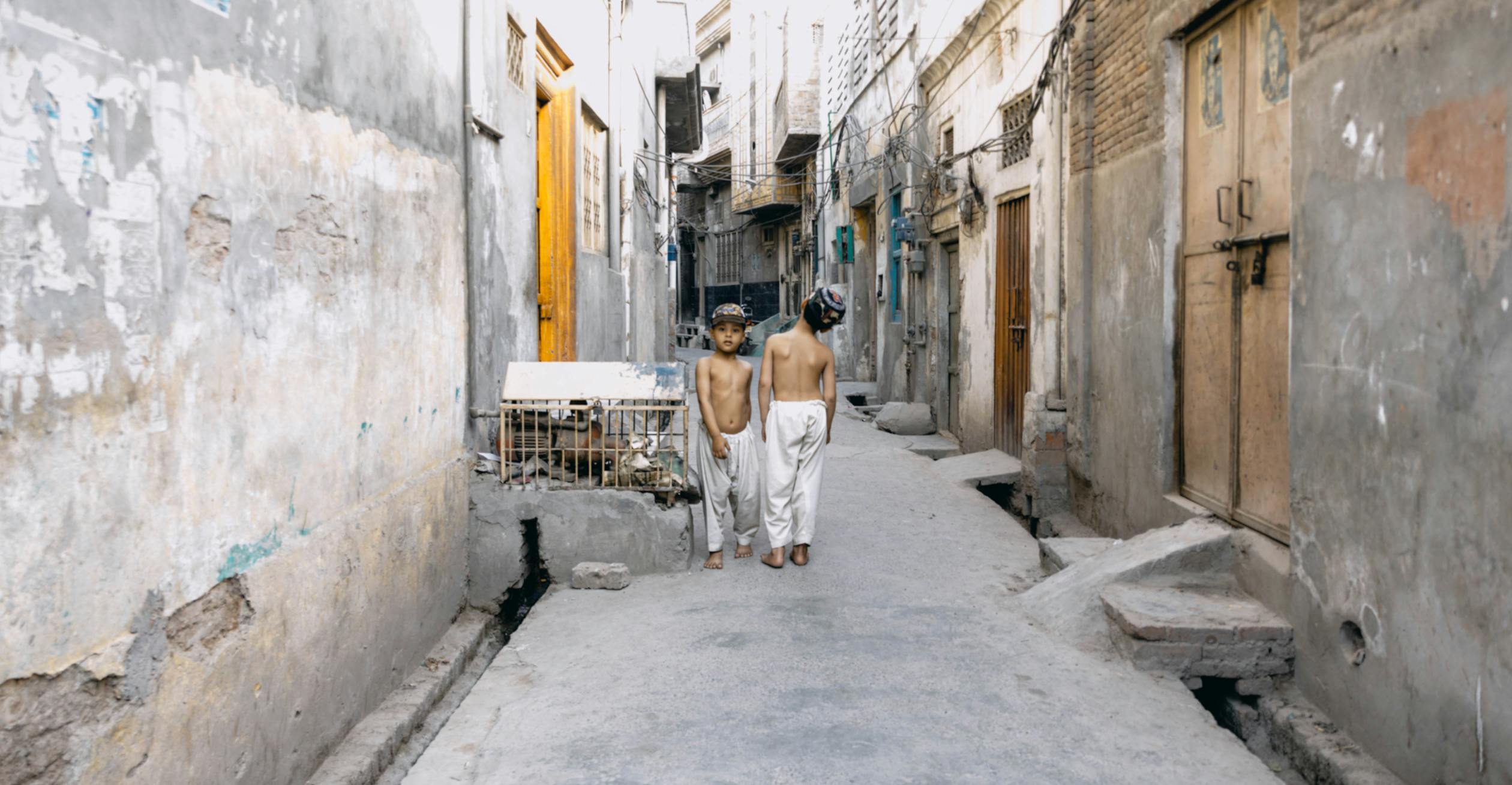 Free stock photo of 4k wallpaper, adobe, beautiful